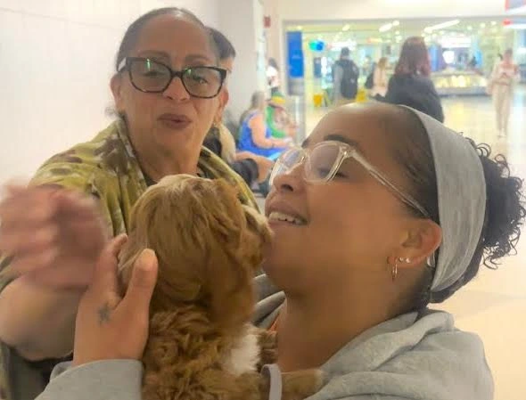 Happy puppy family 1