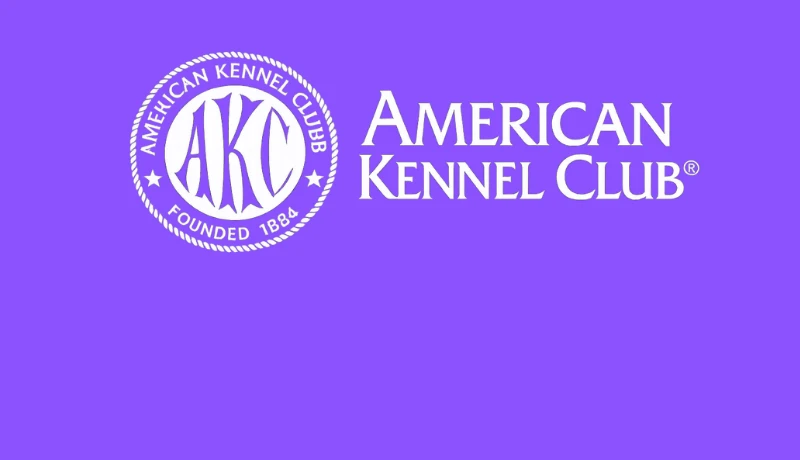 AKC Registration