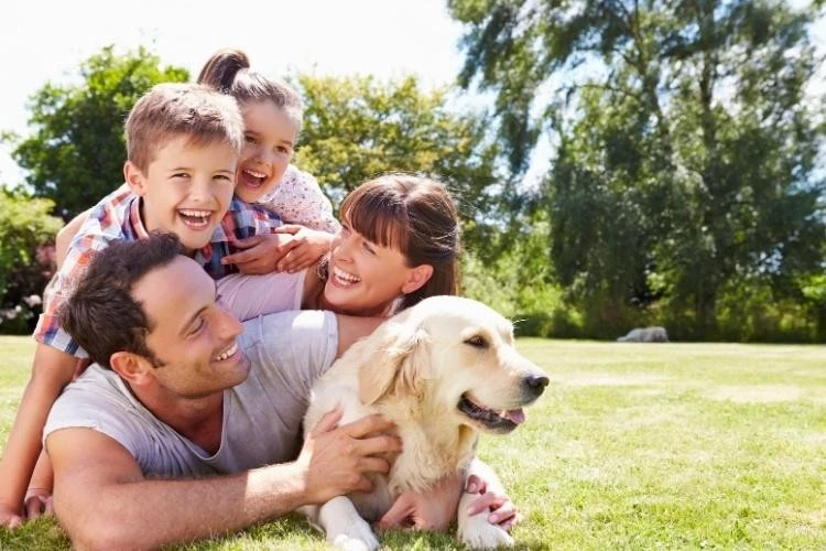 8 Best Family Dogs: There's a Breed for Every Home