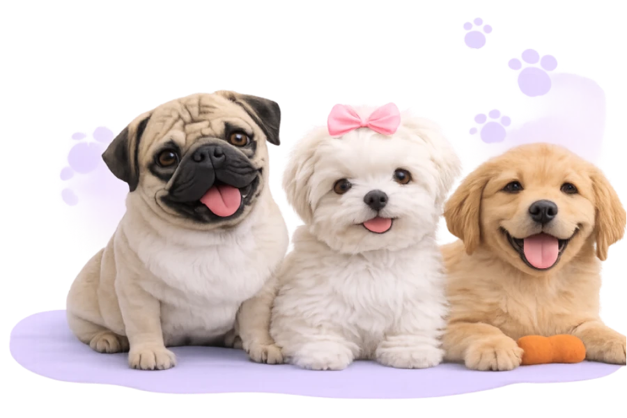 Puppies for breed quiz