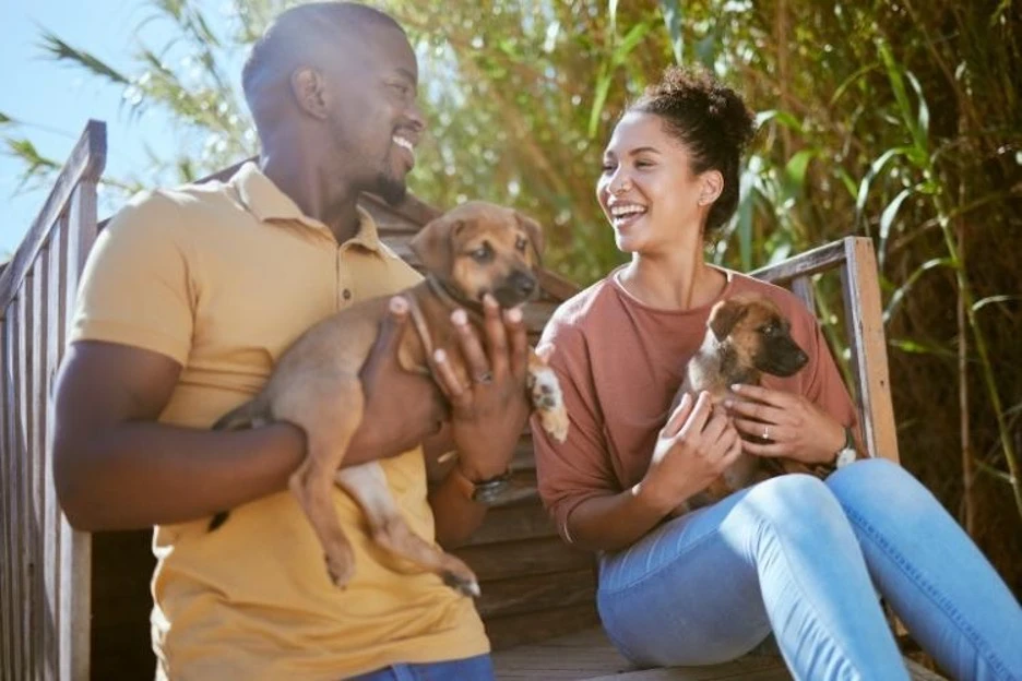 Puppy for Your Lifestyle