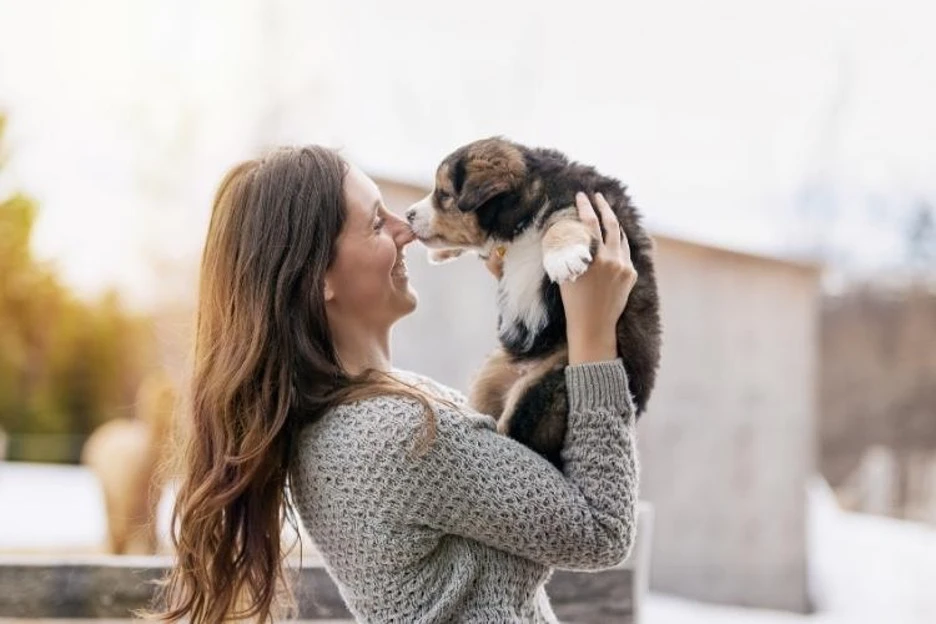 Puppy Care Tips
