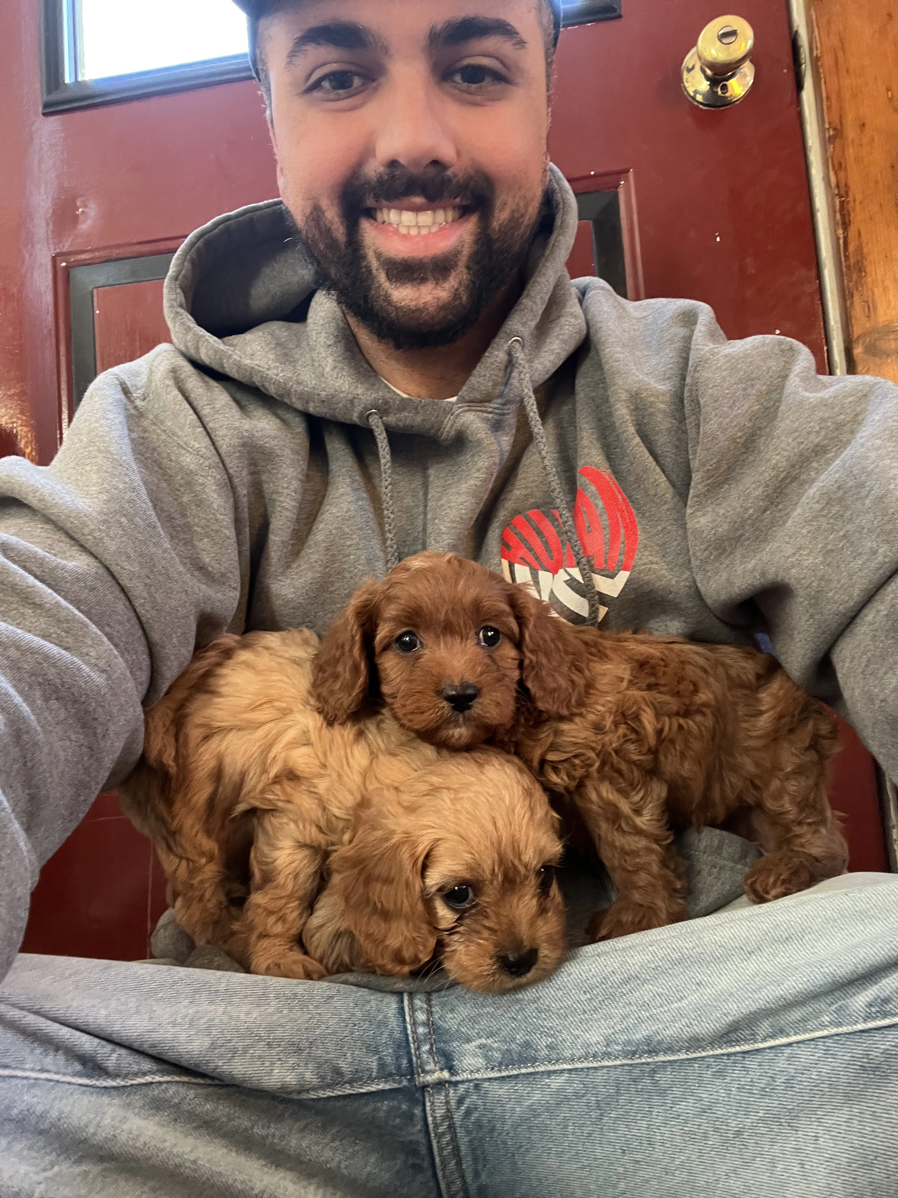 Happy family with their adopted pet