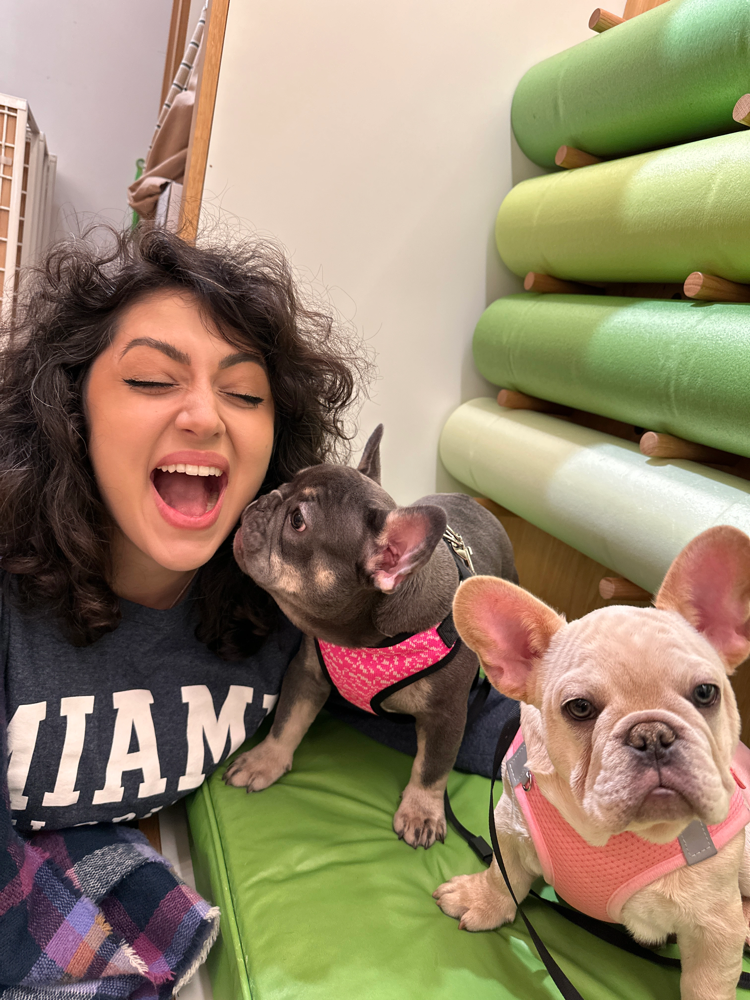 Pet care and adoption process