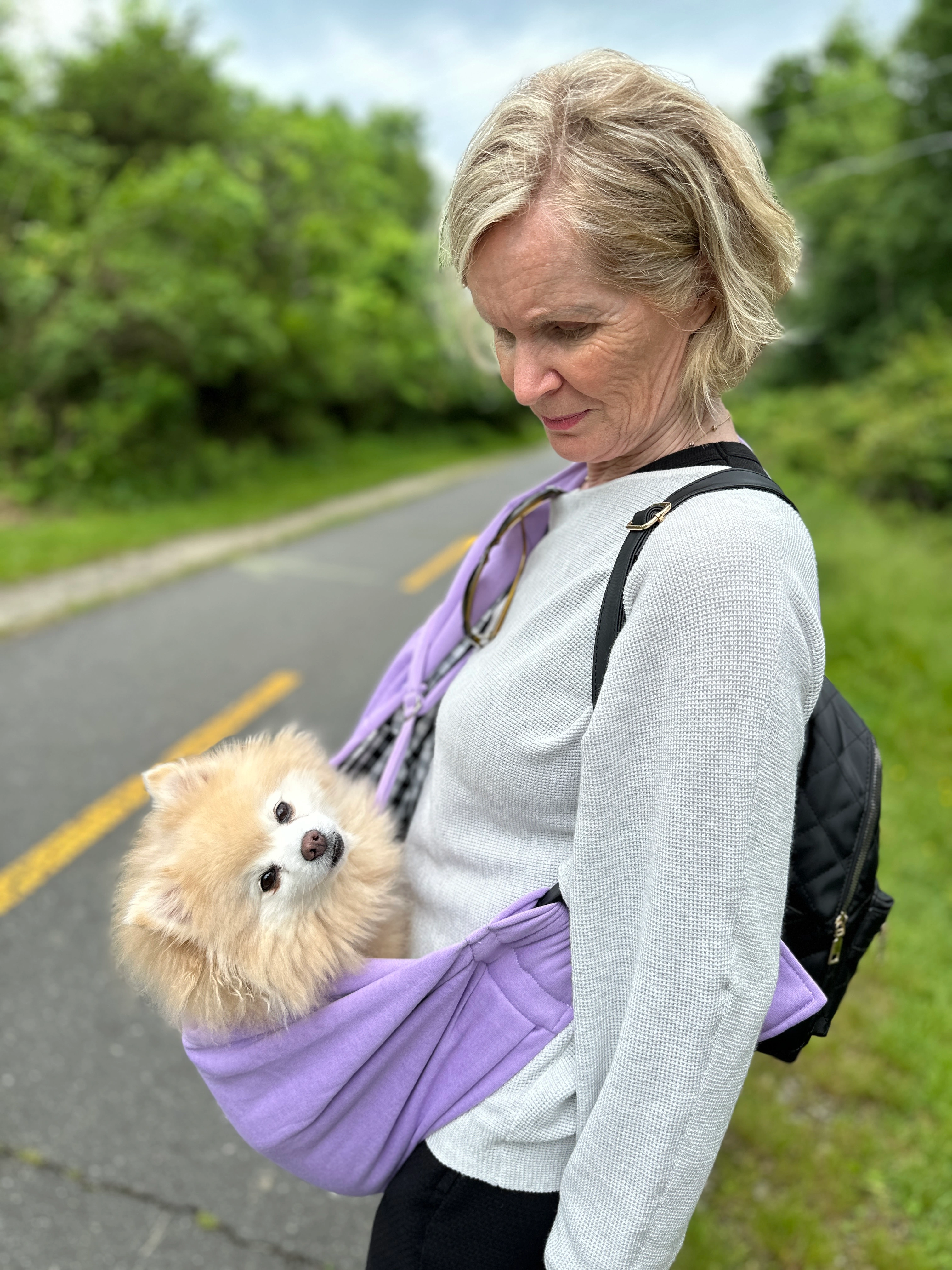 Pet care and adoption process