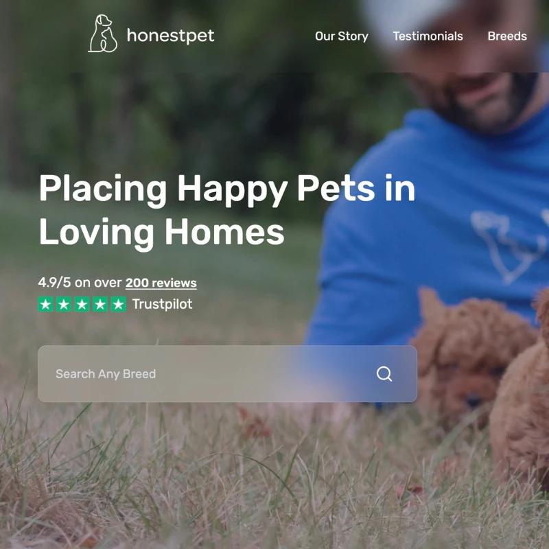 The Best Ethical Online Puppy Marketplaces