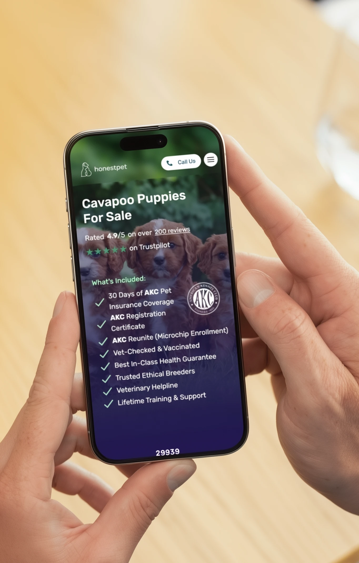 Browse Available Puppies